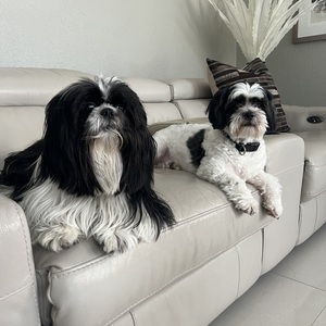 Fundraising Page: Stephanie Hernandez